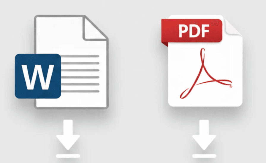 Final PDF and Word export